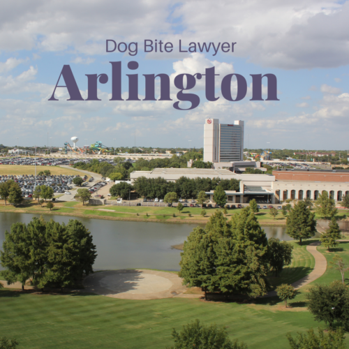 Post Instagram - Welcome to New York (1) Dog Bite Lawyer Arlington