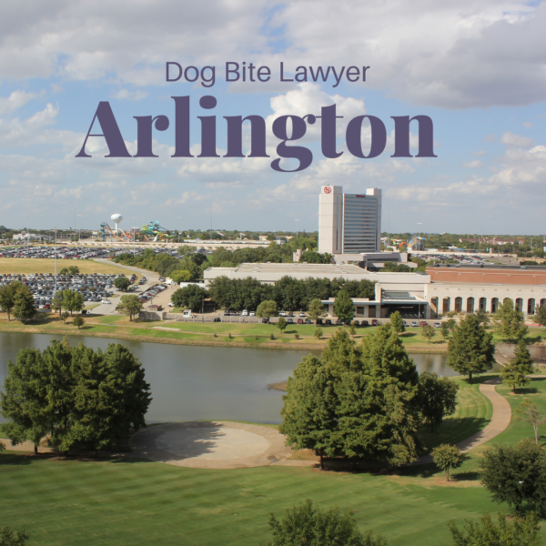 Dog Bite Lawyer Arlington
